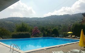 Swimming&Sun